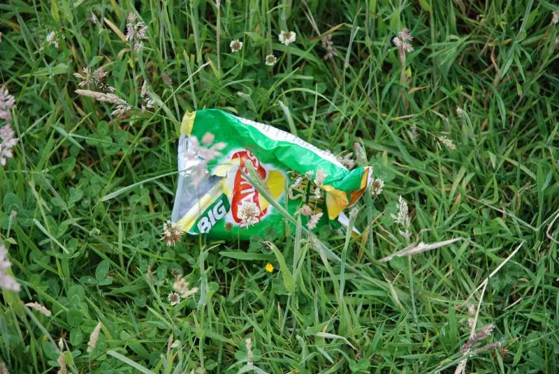 This picture shows a crisp packet that's improperly discarded.
