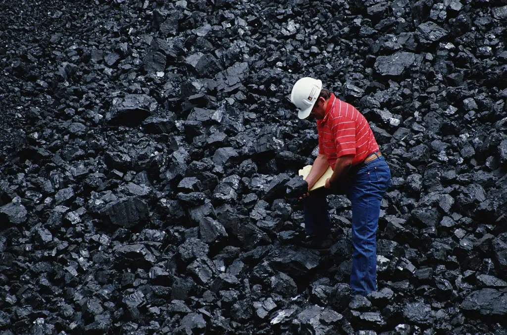 Advantages and Disadvantages of Fossil Fuel : Coal