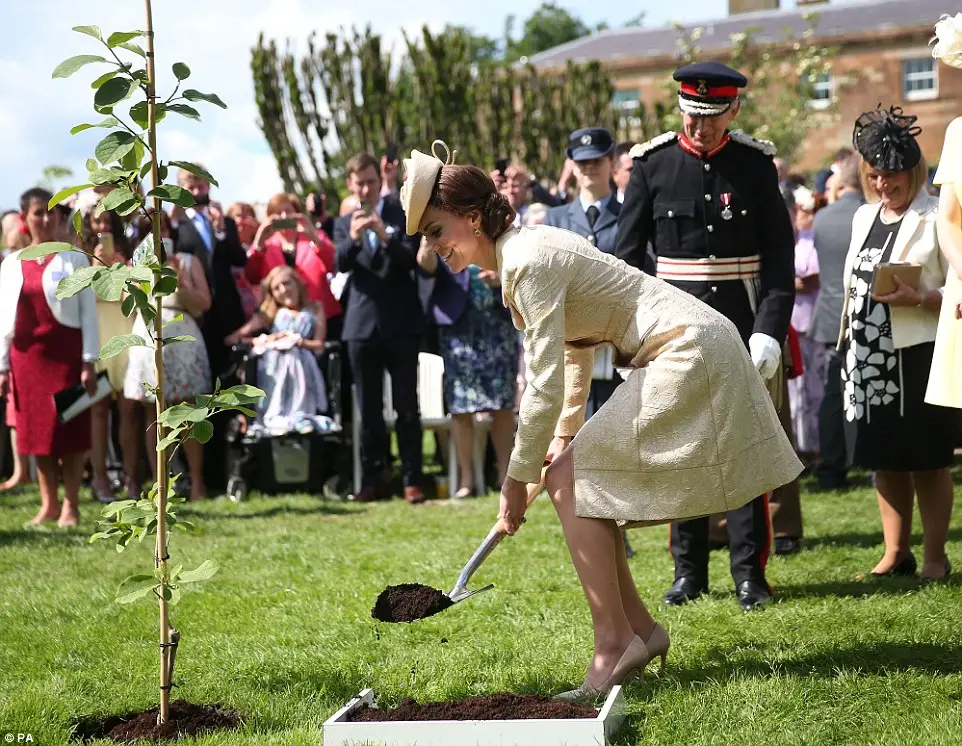 The duchess plants a tree