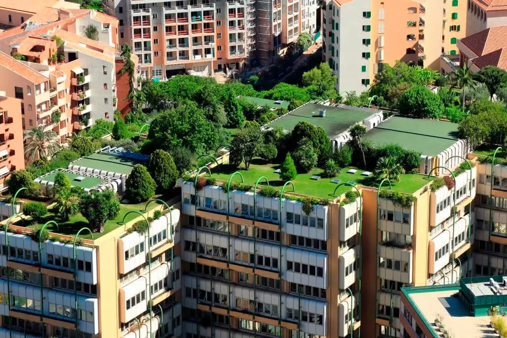 A green rooftop is a component of green building.