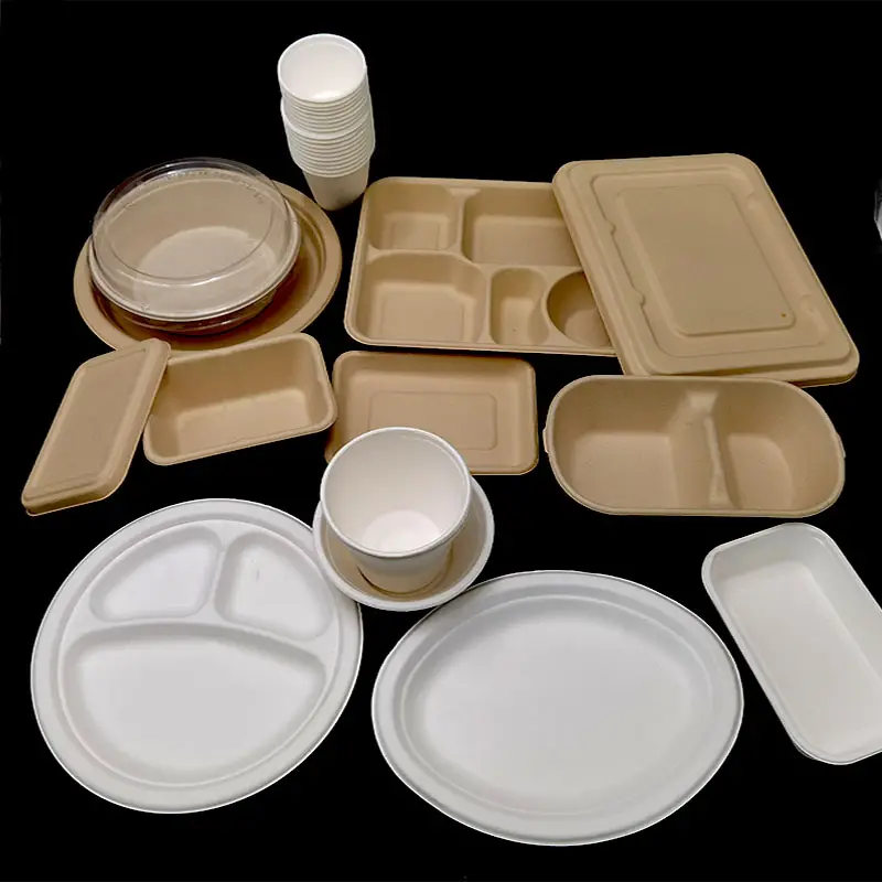 Sugarcane plates are eco-friendly disposable plates.