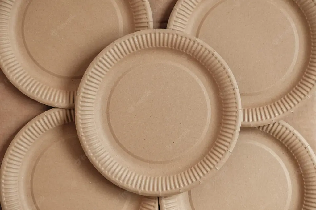 Paper plates are an eco-friendly option for plastic plates.