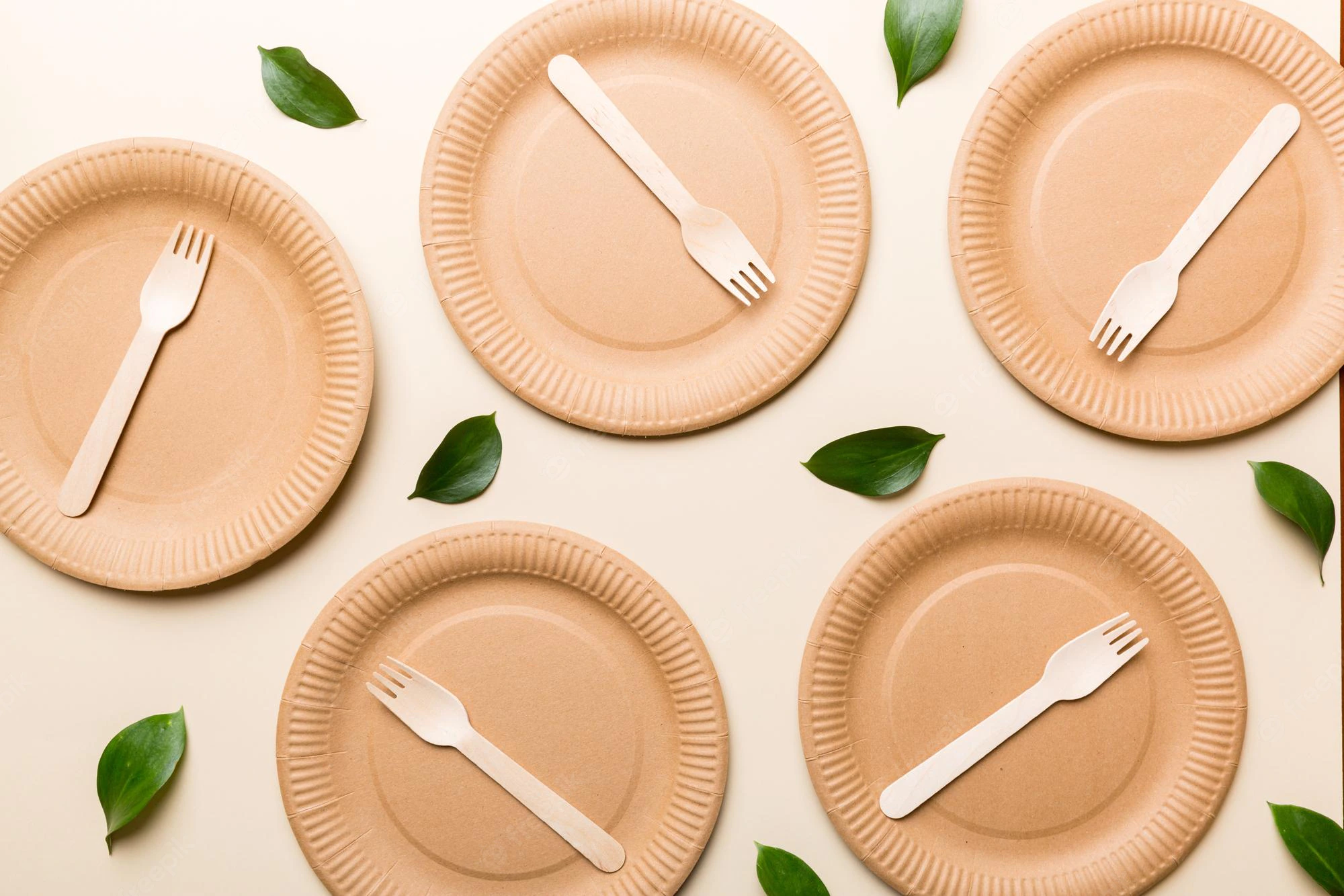5 Best Eco Friendly Disposable Plates-GangXuan