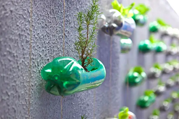 Reusing plastic bottles is one of the creative ways to recycle old bottles. 