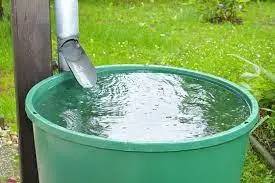 Collecting rain water is one way to save water at home.