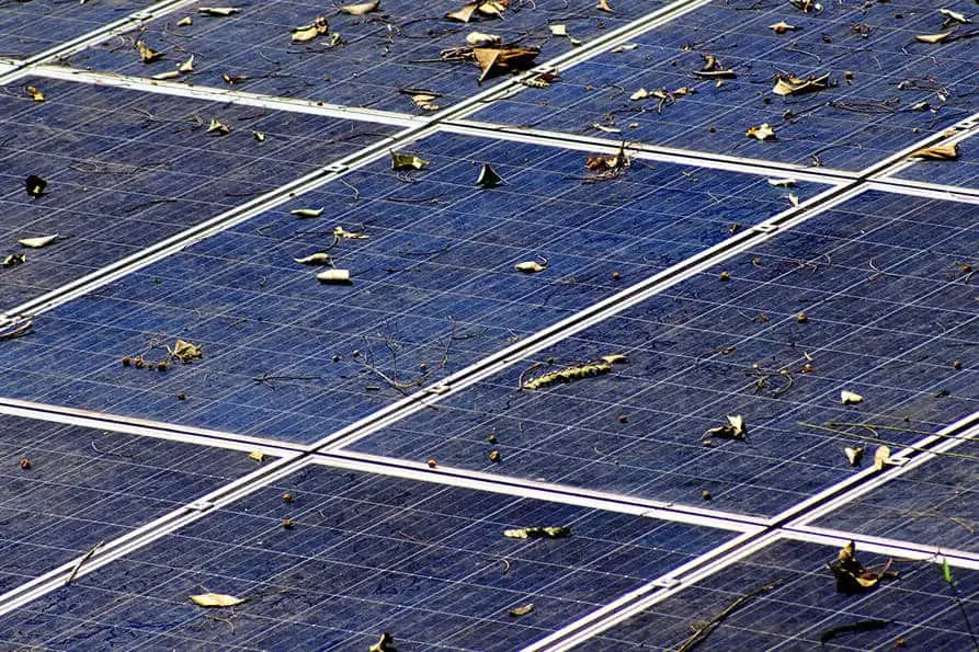 Leaves on solar panels can reduce your solar energy.