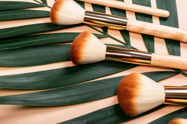 Eco-friendly Makeup Brushes