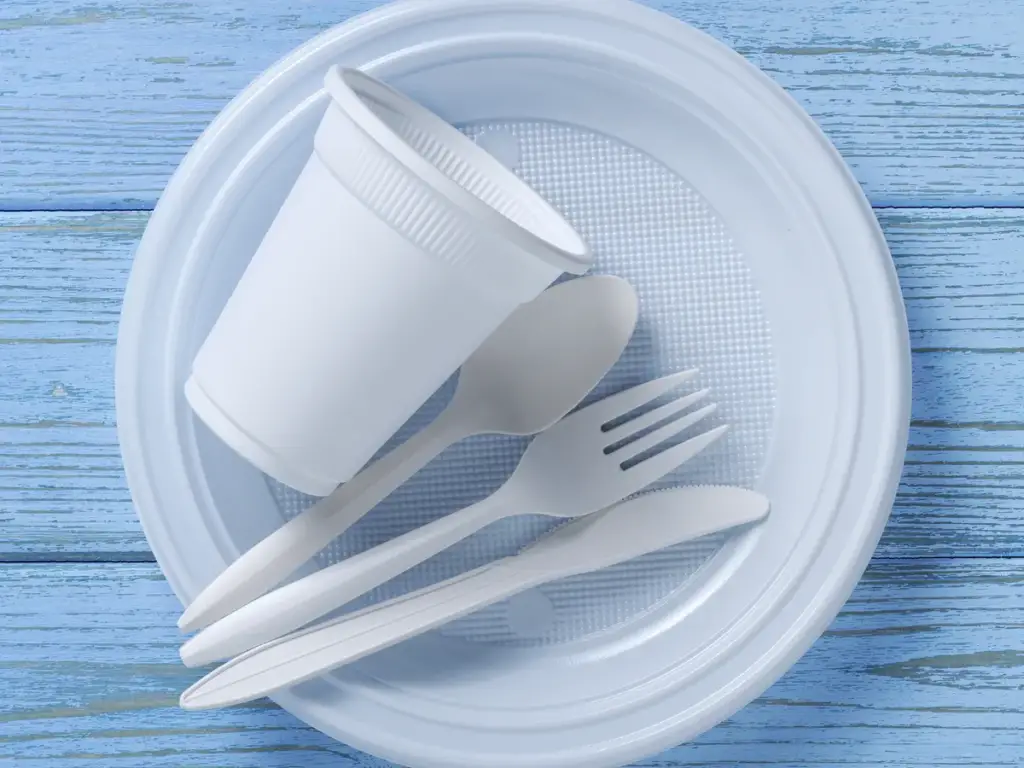 Best Eco-friendly Disposable Cutlery