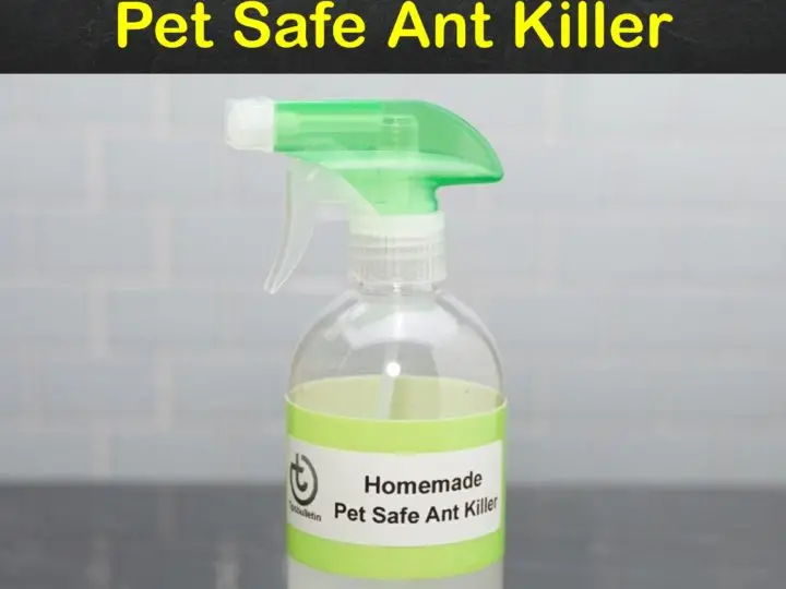 Pet Safe Ant Spray
