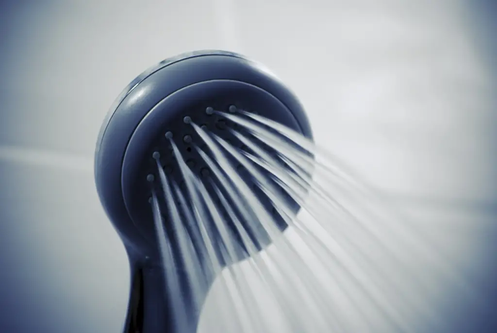Conserving water while taking a shower is an example of How to Act in an Eco-Friendly Way