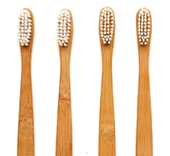 Best Biodegradable toothbrushes:
