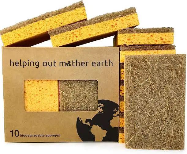 eco-friendly sponges